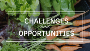 Challenges and Opportunities of Organic Farming