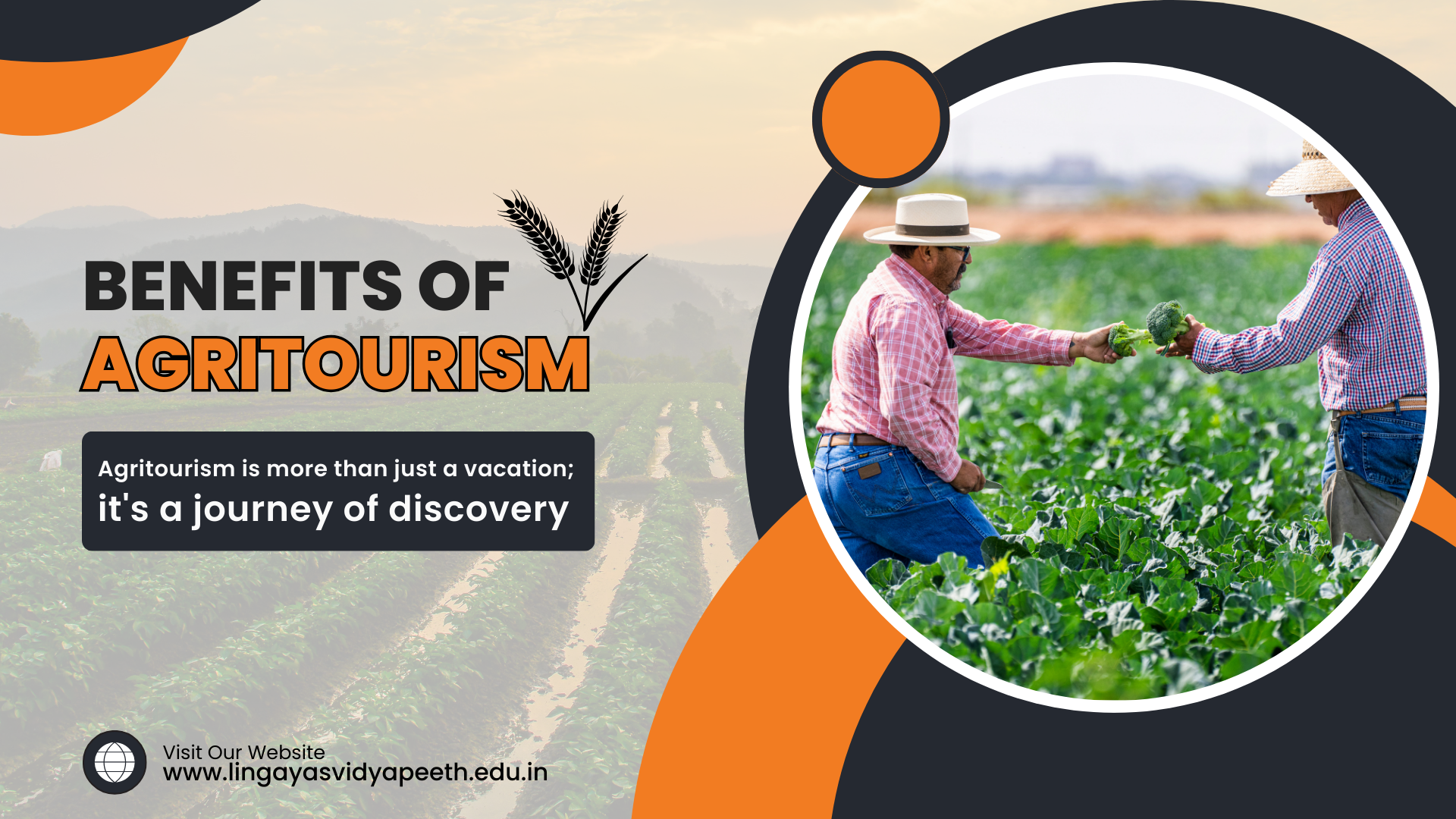 The Growing Significance of Agritourism and Sustainable Tourism