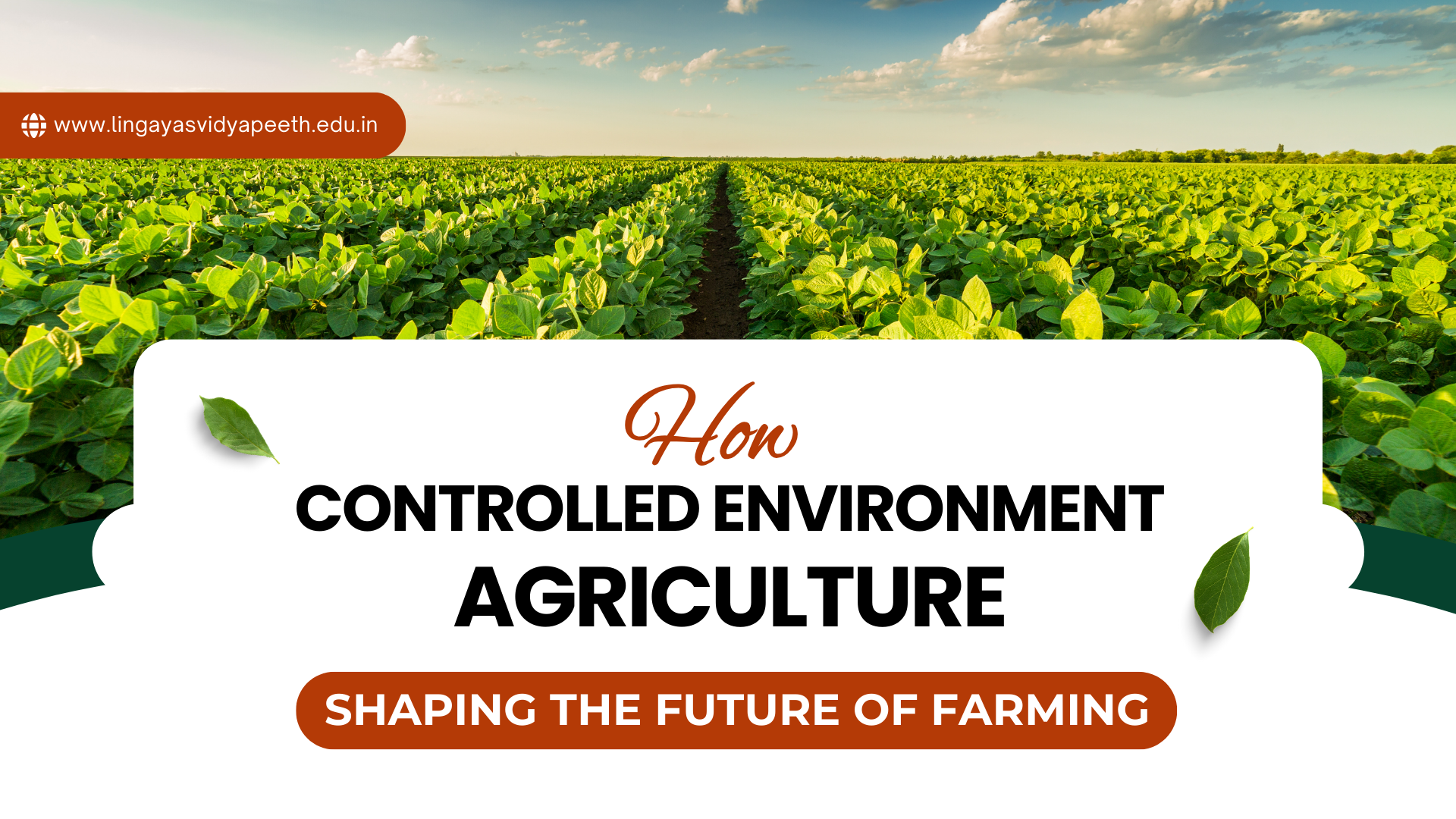 How is Controlled Environment Agriculture (CEA) Shaping the Future of Farming?