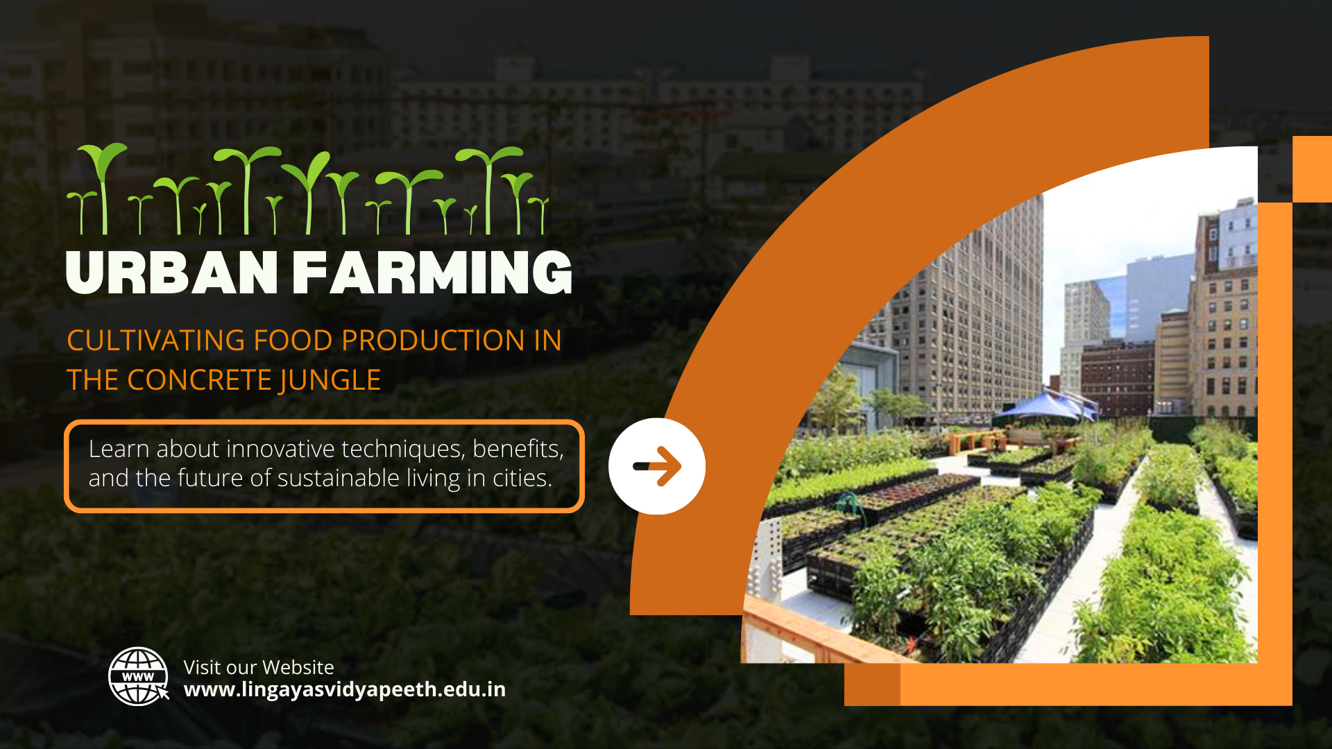 Urban Farming: Cultivating Food Production in the Concrete Jungle