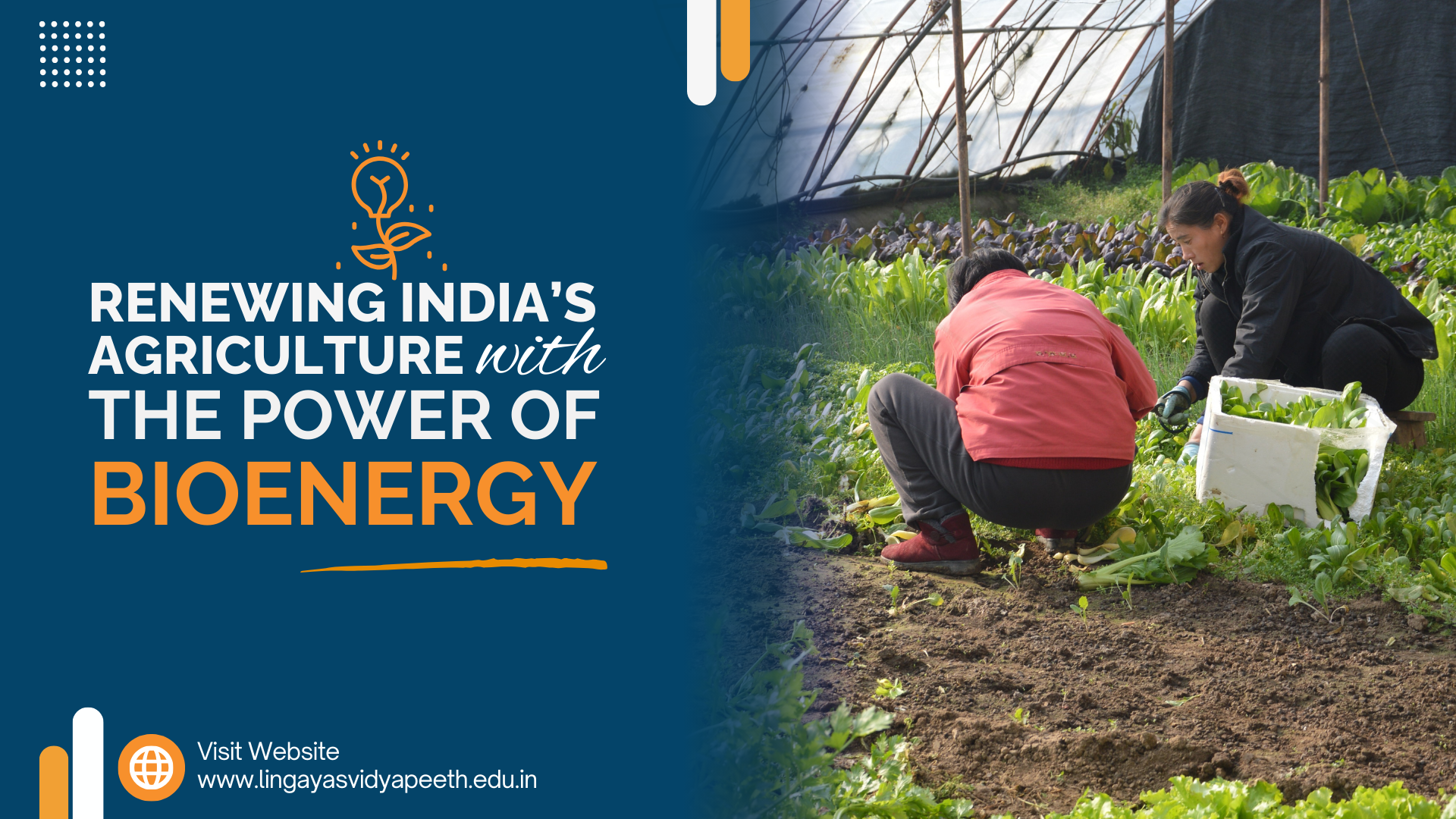 Bioenergy and Agriculture in India: A Sustainable Synergy