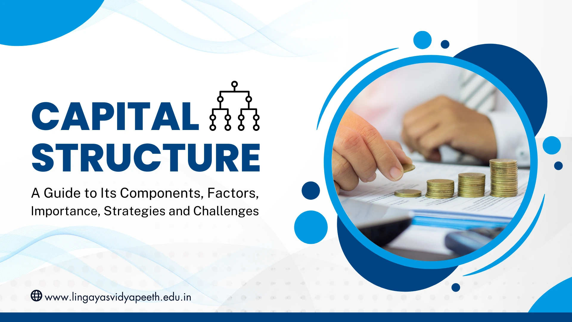 Capital Structure: Components, Factors, Importance and Strategies